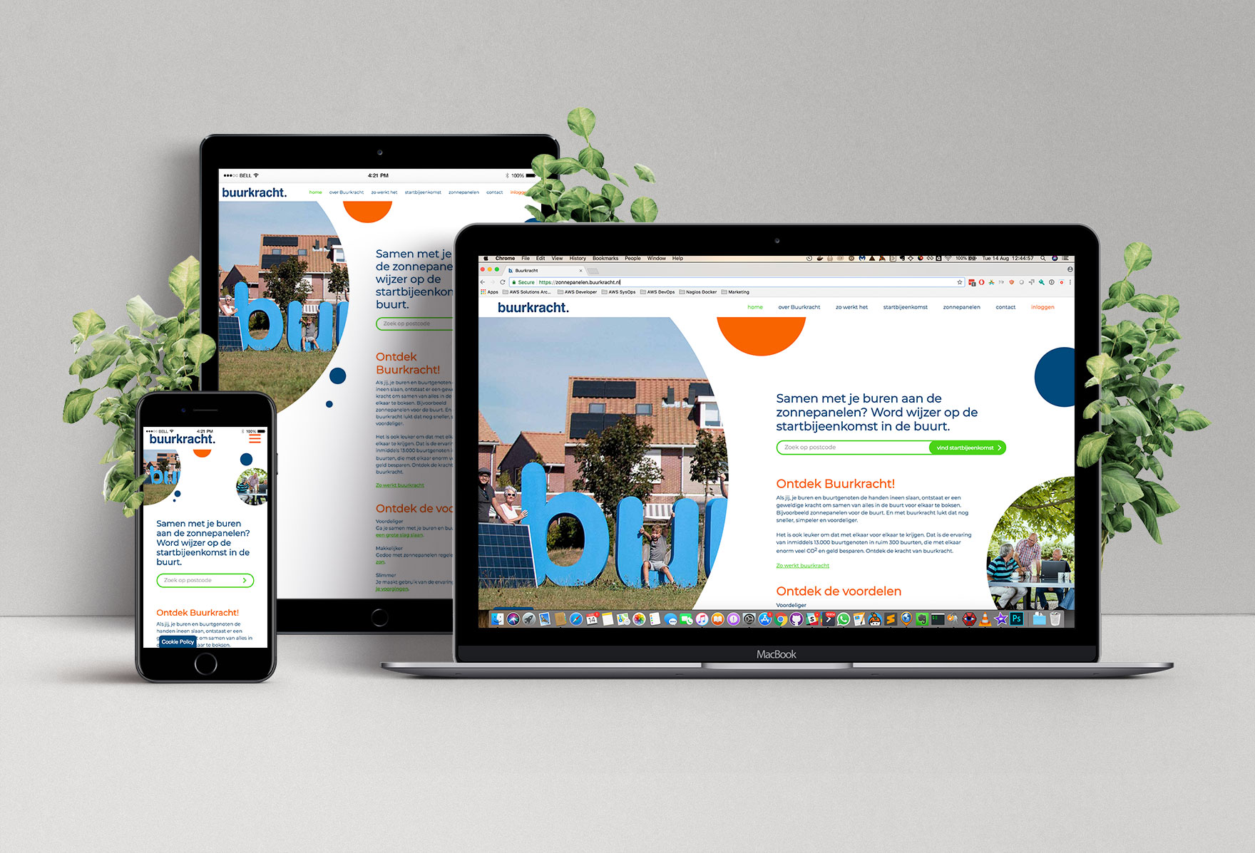 buurkracht zonnepanelen showcase